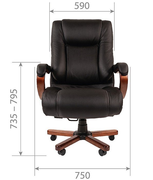 Кресло руководителя CHAIRMAN 503 - вид 4